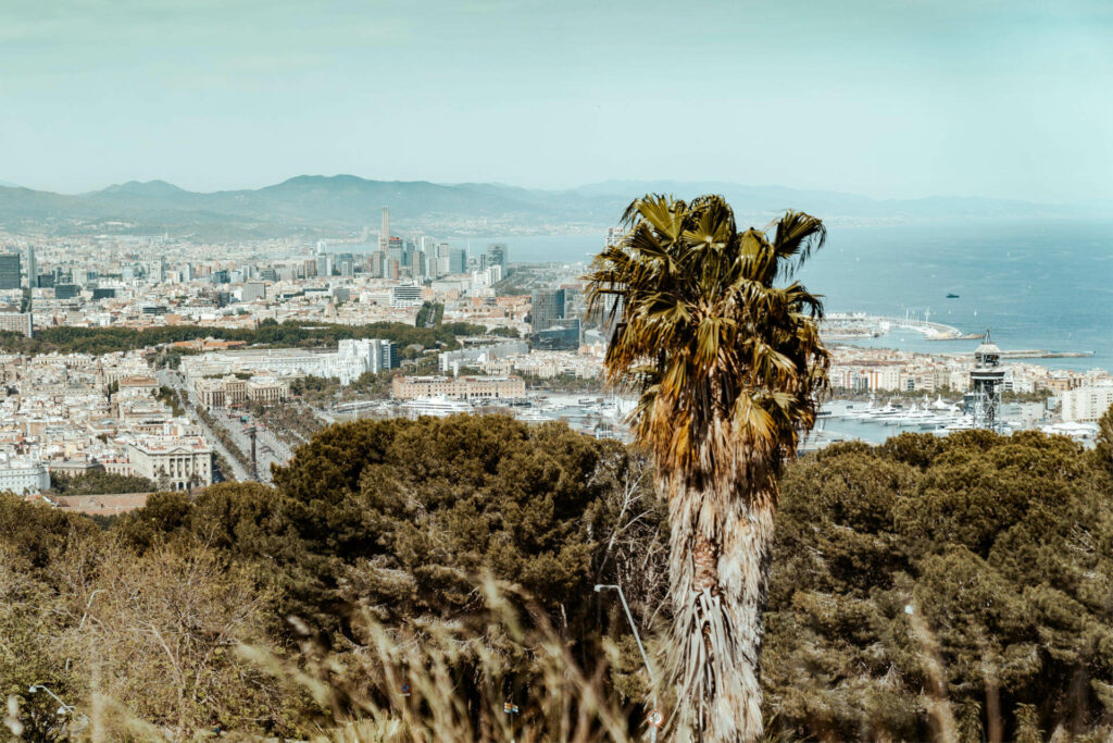 Das Castell de Montjuïc wirkt zwar verlassen, ist mit seiner wunderschönen Aussicht über die Stadt und das Meer aber ein echter Geheimtipp.
