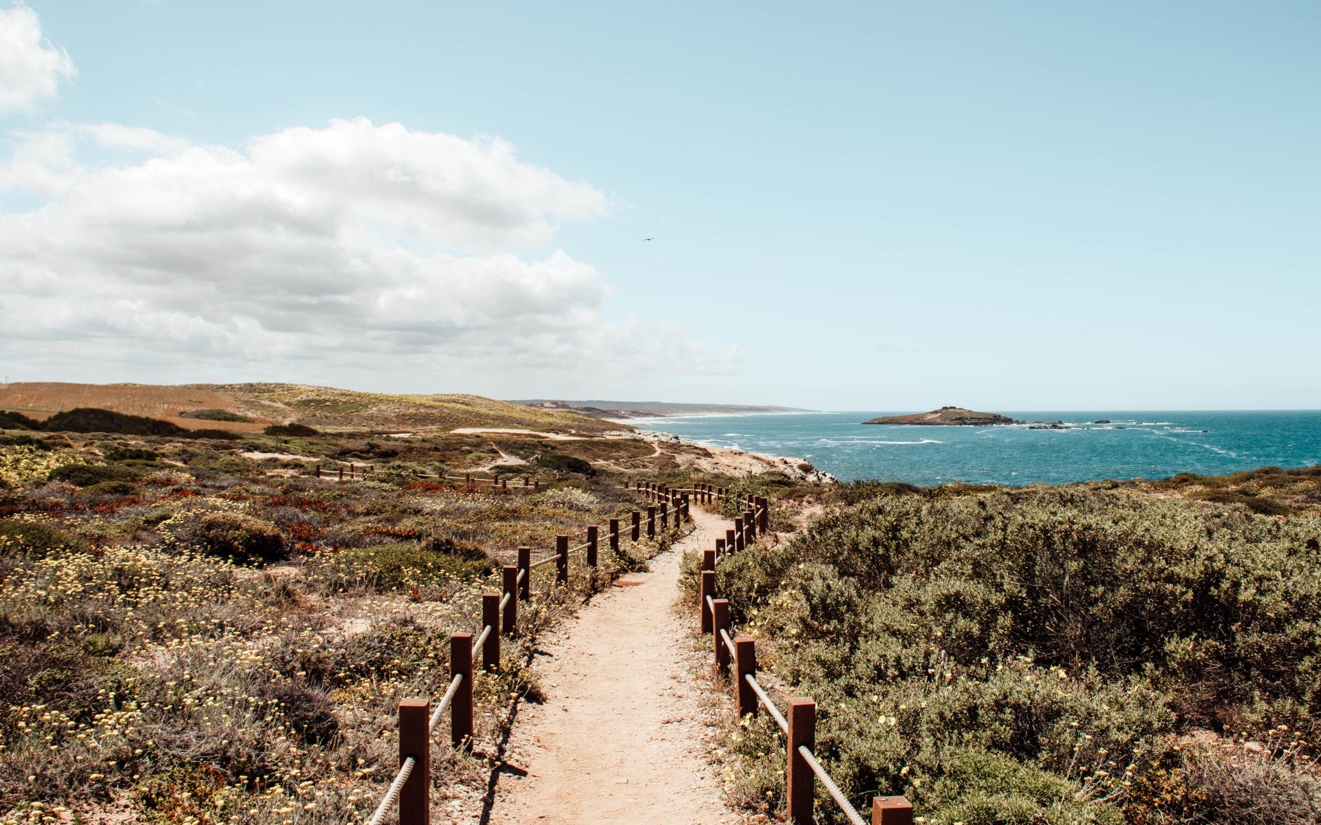 Ein Wanderweg entlang des portugiesischen Meeres