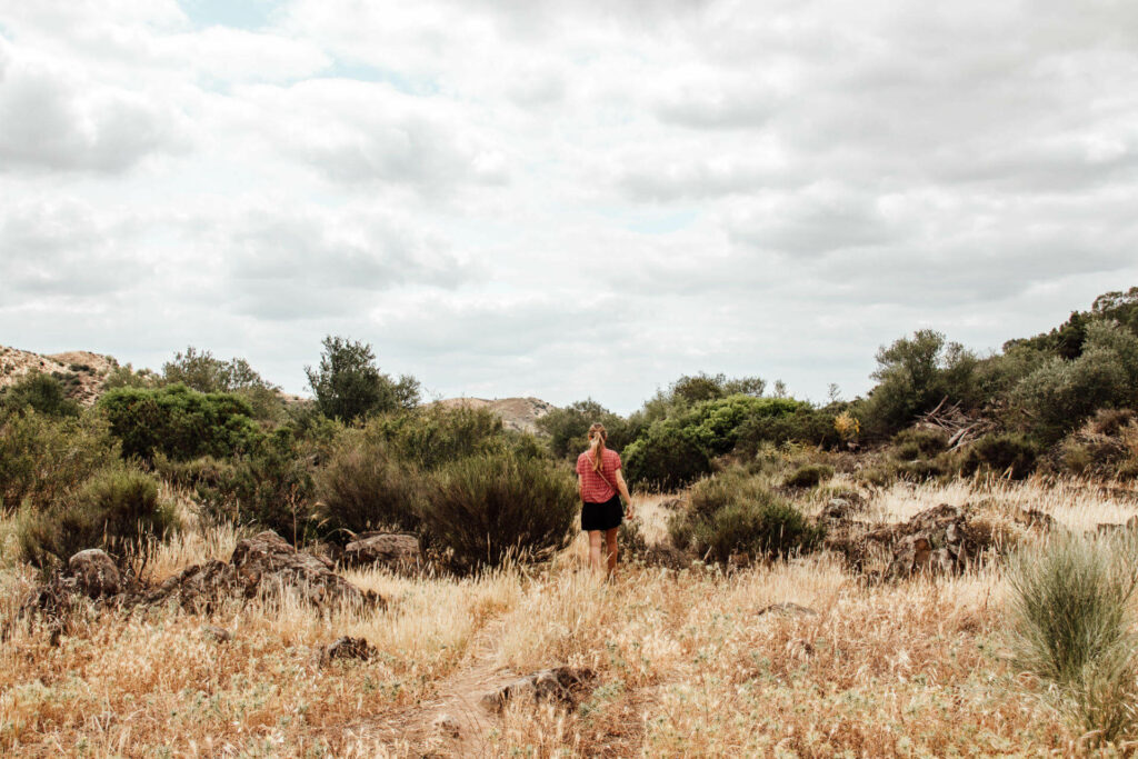 Steppengleiche Landschaft erwartet euch bei eurem Roadtrip durch den Alentejo.