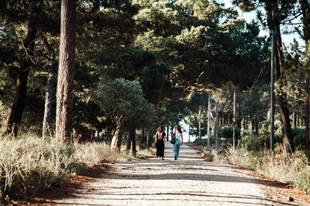 Ein gute Tipp für einen entspannten Spaziergang: Waldweg hin zum Strand