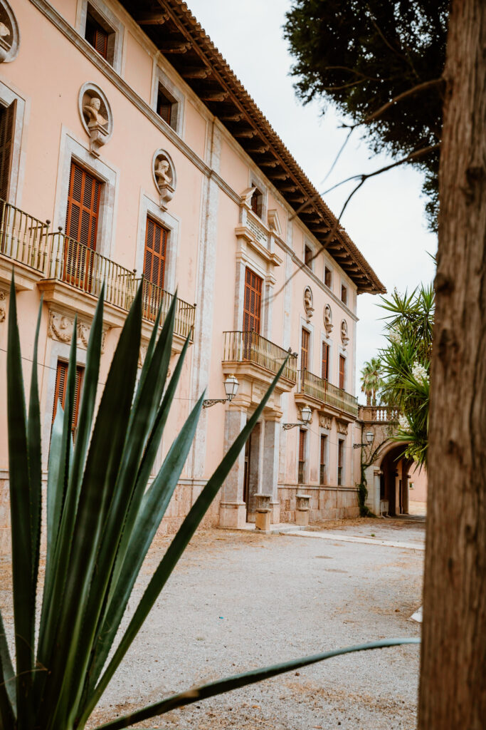 Eine riesige Sukkulente im Vordergrund der verlassenen Villa Palau d’Aimans auf Mallorca.