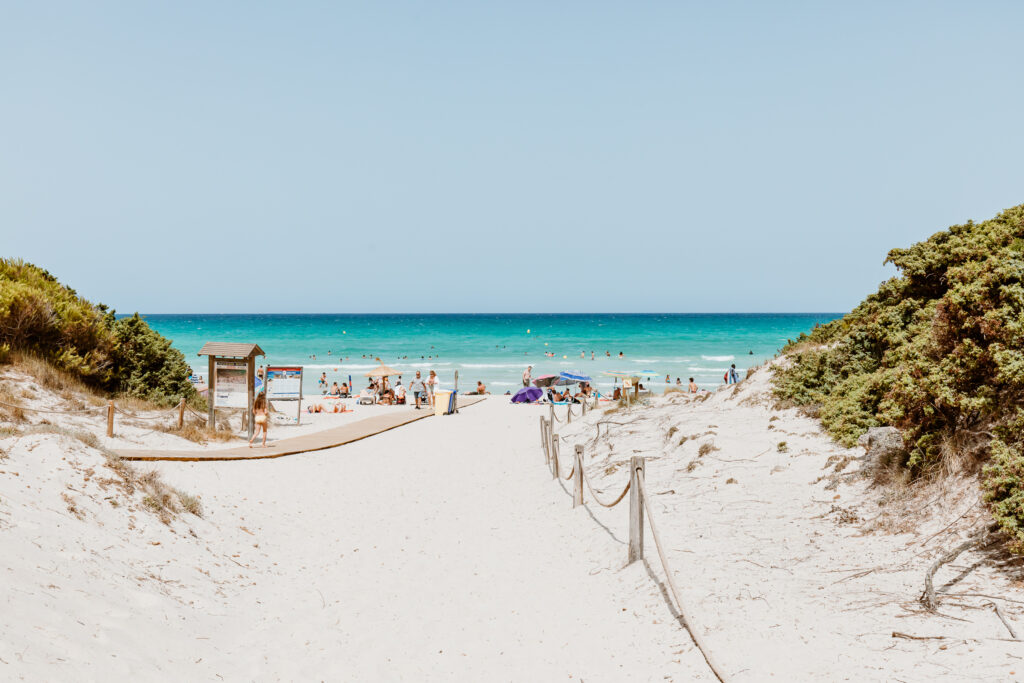 Traumhaft schöner Sandstrand führt zwischen Dünen hin zum türkisblauen Meer auf Mallorca.