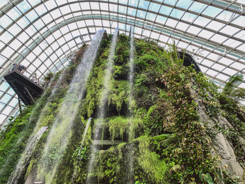 Ein Wasserfall von unten betrachtet an einem mit grünen Pflanzen bedeckten Fels im "Gardens by the Bay" in Singapur.