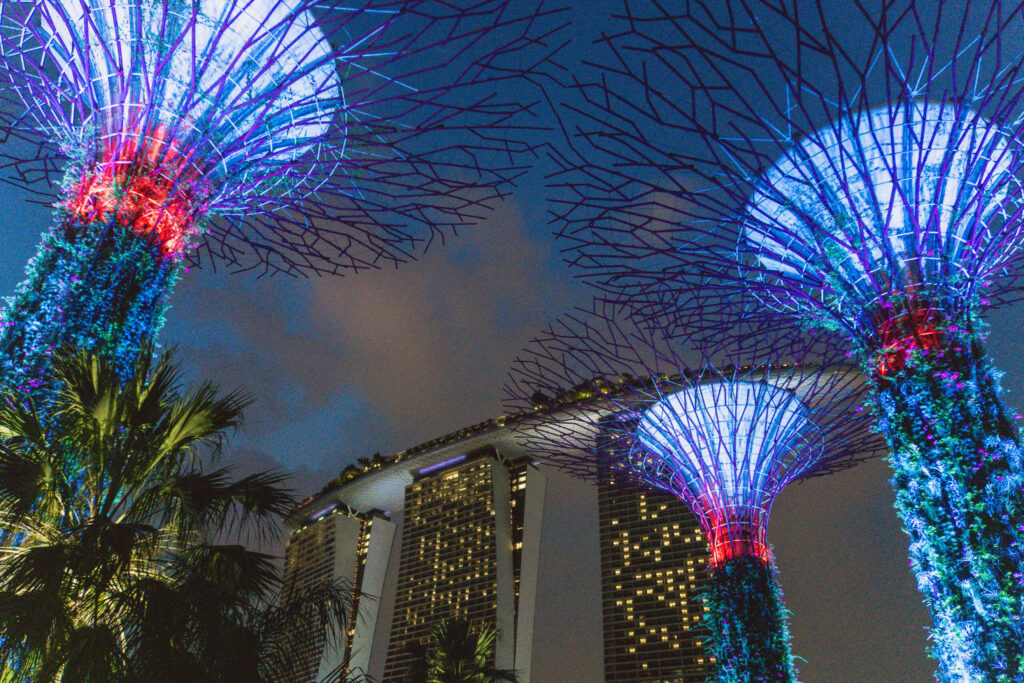 Die Lichter der "Supertrees" lassen die Nächte von Singapur hell und in bunten Lichtern erstrahlen. Eine Sehenswürdigkeit, die ihr in Singapur nicht verpassen solltet.