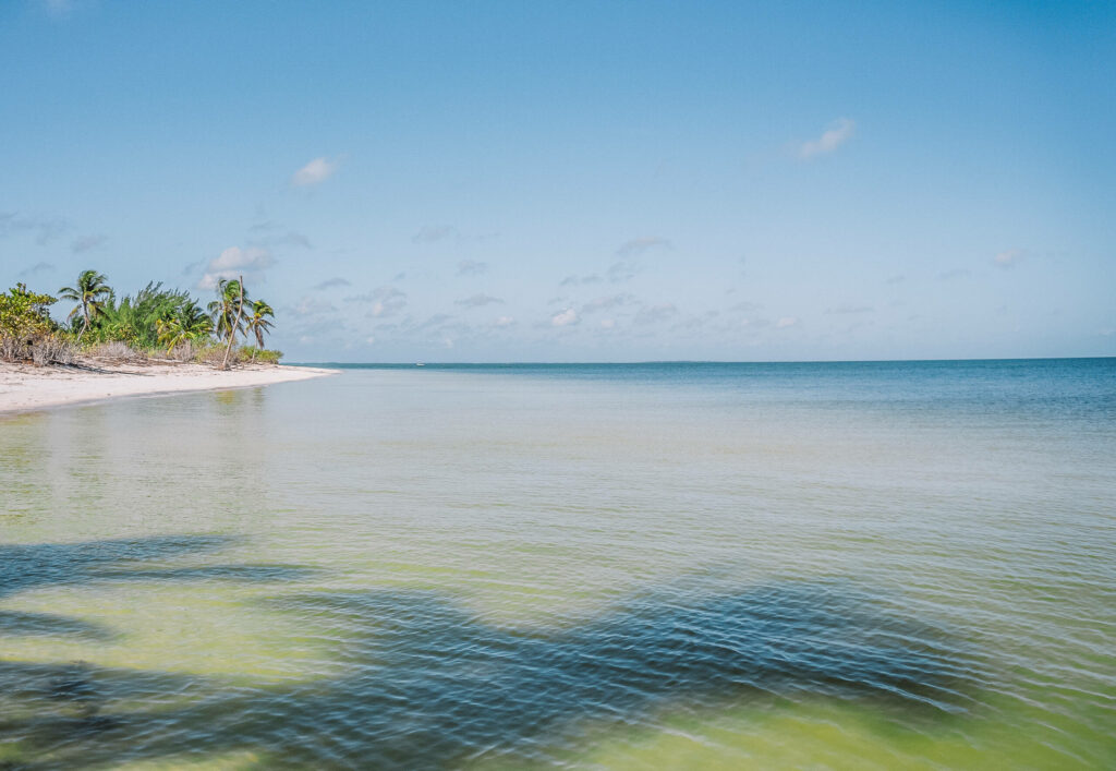 Weitläufiges Meer vor dem Strand von Isla Holbox, im Hintergrund mit Palmen besetzt.