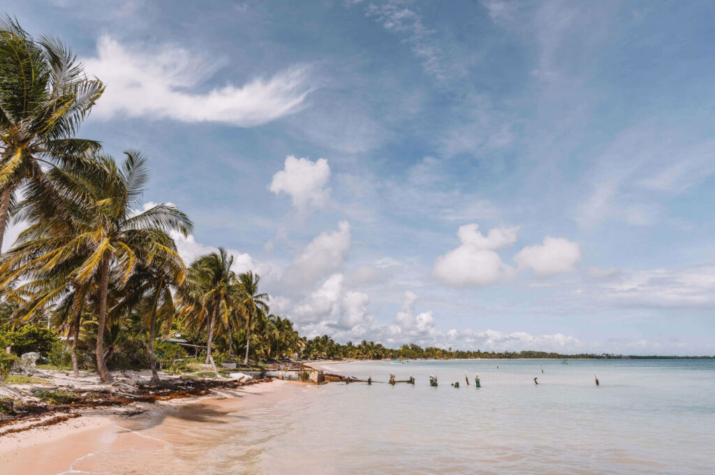 Palmen reihen sich am Strand des Fischerdorfs Punta Allen auf Yucatan aneinander.