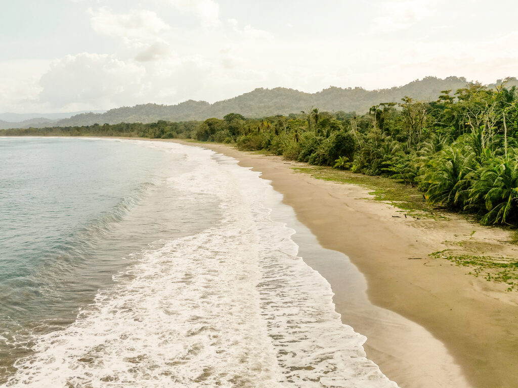 Der Puerto Vargas Strand liegt zwischen welligem Meer und vielen grünen Bäumen.