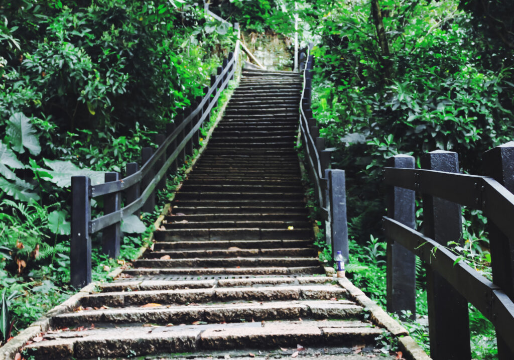 Ein kleiner Weg mit Stufen im grünen führen auf den Elephant Mountain in Taipeh.