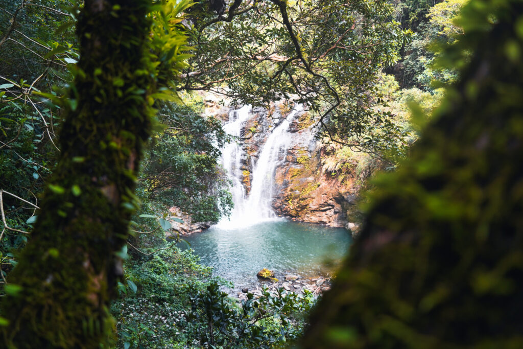 Zwischen Unmengen von grünen Pflanzen findet man den Shuangliu Wasserfall in Taiwan.