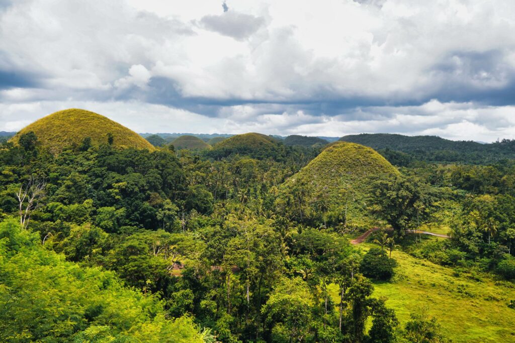 Verschiedene Pflanzen und Grüntöne prägen die Chocolate Hills auf Bohol.